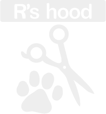 橿原市で小型犬や中型犬に対応しているおすすめのトリミングサロンを探しているなら『R's hood』へ
