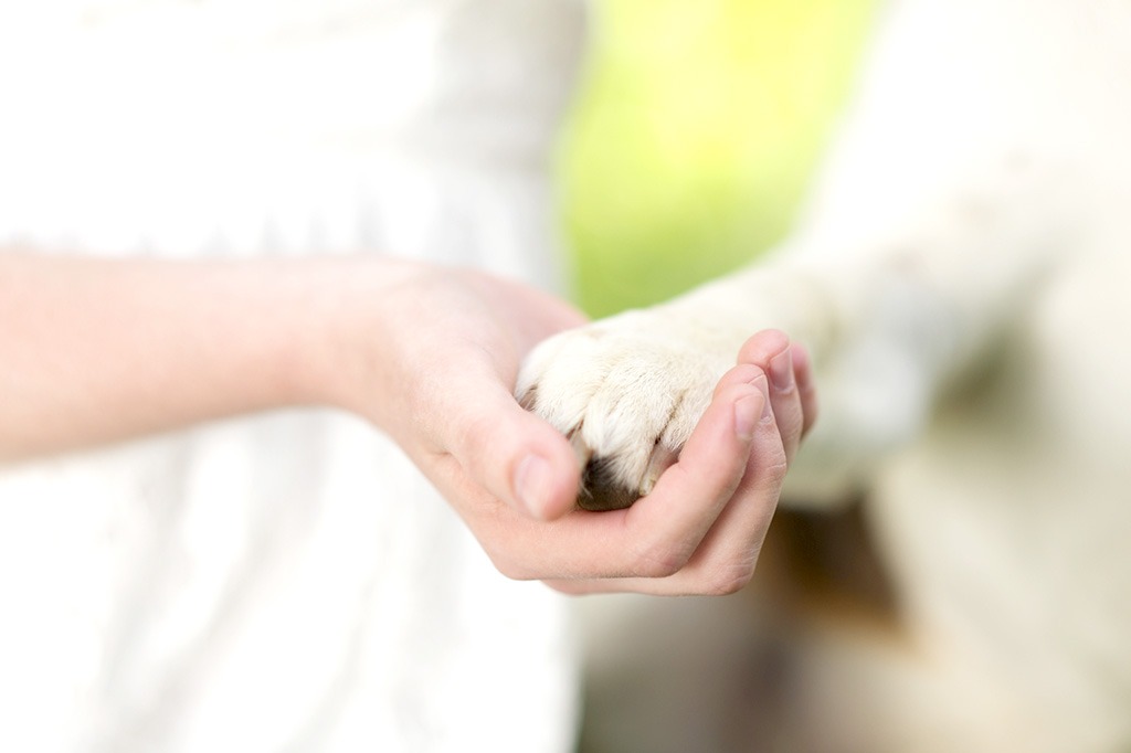 コミュニケーションを大切に